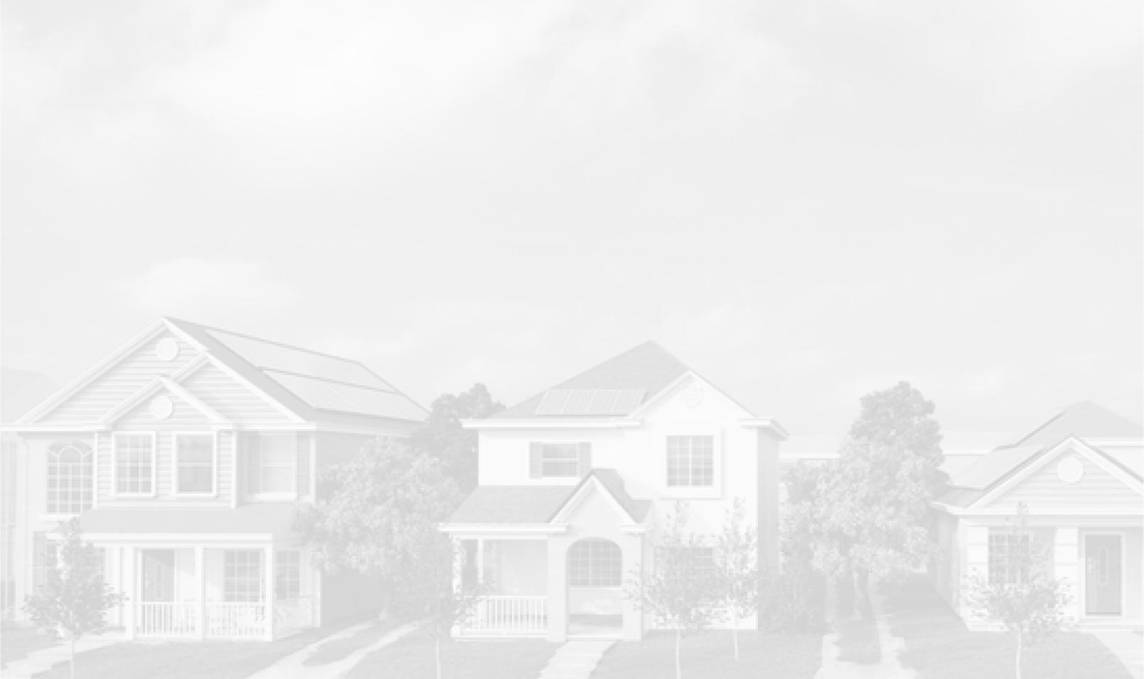 realscout-bg
